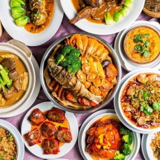 尚正食品 - 頂級有鹽開心果